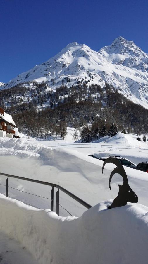 Maloja Kulm Hotel Εξωτερικό φωτογραφία
