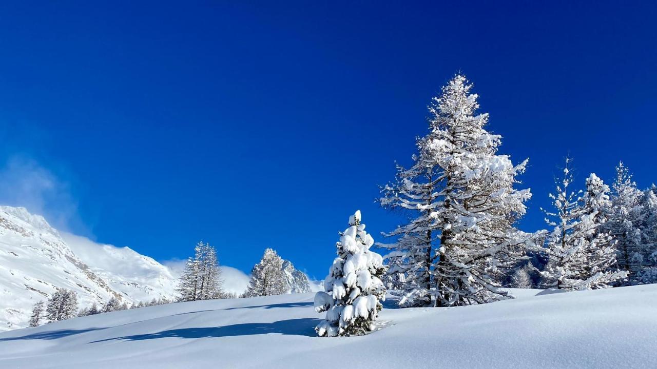 Maloja Kulm Hotel Εξωτερικό φωτογραφία